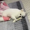 손예진 - @son_yejin - TikTok