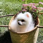 Yejin Son - @jejin_son - Instagram
