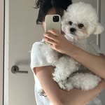 송예진 - @yejinsong__ - Instagram