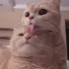 user2223295726734 - @yejingyang_ - TikTok