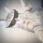 Lee YeJun - @lee_ye_junn - Instagram