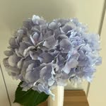 yejun lee - @yejun8562 - Instagram