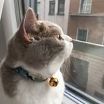 Yelei Li - @tachuang.christophorus - Instagram