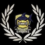 YELLOW BLUE SHARKS - @ybs_2460 - Instagram