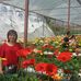 Yellowblue Ooi - Facebook
