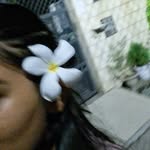 Eisha - @yellow_daffodils__ - Instagram