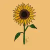 yellow.house. - @1_.yellow._.house._1 - TikTok