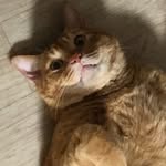 황예나 - @yena_u - Instagram