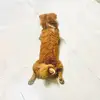 yenbanhbeo - @yenbanhbeo19 - TikTok