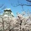 Yen Ching - @30455418361 - TikTok