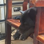 Huang Yen Chung - @yen.chung_1230 - Instagram