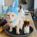 Yên Chung - Facebook