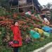 Yen Dam - Facebook