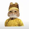 Yenfan - @yenfantian - TikTok