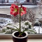 Yen Lien - Facebook