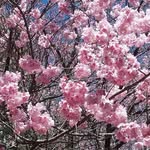 Yen Meng - @yen.meng.37 - Instagram