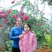 Thiều Yên - Facebook