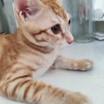 Yen Yeh - Facebook