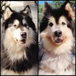 Yen Yip - @yen.989 - Instagram