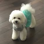 Yena - @yena_matt - Instagram