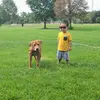 yenghang5 - @yenghang5 - TikTok