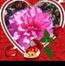 Yeng Thao - Facebook