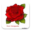 user7399700774623 - @yenisalgadomartinez - TikTok