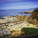 王硯毅 - @yeniwang0912 - Instagram