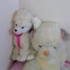 Yeny Basoraa - @yeny.basoraa - TikTok