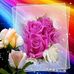Yeny Martinez - Facebook
