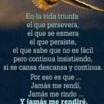 Yeny Paz - @yenipazgiron - Instagram