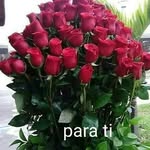 Yeny Perez - @yeny6513 - Instagram