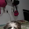 Yeny Rincon - @yeny.rincon71 - TikTok