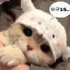 졸려 - @yeonyoon09 - TikTok