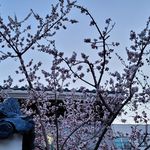 Yeon Soon Kwon - @yeonsoonkwon - Instagram