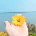 권연수 - @yeonsookwon74 - Instagram