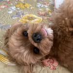 Yeonsu Lee - @cuty_yul - Instagram