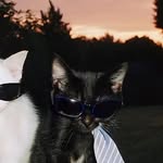 doinyermom - @doin.yermom - Instagram