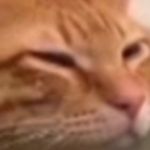 h - @yer_mom__ - Instagram
