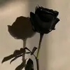 yer thao - @user7929542283452 - TikTok