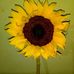 Yeraldin Solis - Facebook