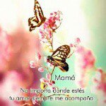 yesenia merida L - @yeseniajmsr - Instagram