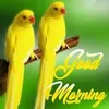 Yesh Tyagi - @yeshtyagi31 - TikTok