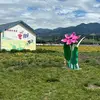 Yew Lian Yap - @yew.lian.yap - TikTok