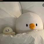 katé - @yewon_is_baegopa - Instagram