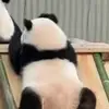 yichen5316 - @yichen5316 - TikTok
