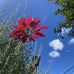 Yi Yang - Facebook