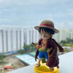 Yi Yang - @pocketnocoin - Instagram
