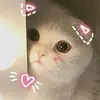 yibingzhang7 - @yibingzhang7 - TikTok