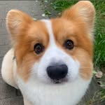 Yidan Hu - @yidan4021 - Instagram
